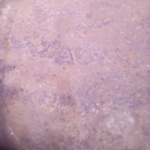 Meet your Posher, Jessie